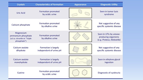 what-does-your-urine-test-mean-urinalysis-and-urine-test-result